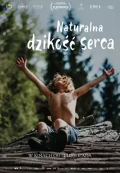 NATURALNA DZIKOŚĆ SERCA